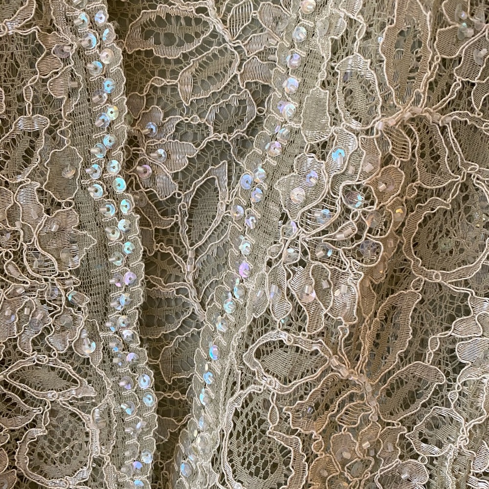David’s Bridal: Mother of the Bride dress: Size 12 - Picture 7 of 9